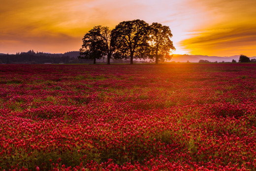 879720 (a): :2048x1365